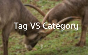 tag-vs-category