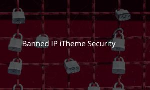 banned ip itheme security