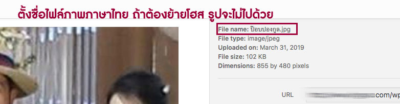 ตั้งชื่อไฟล์ภาพเป็นภาษาไทย ทำให้เวลาย้ายเว็บรุปจะไม่ไปด้วย